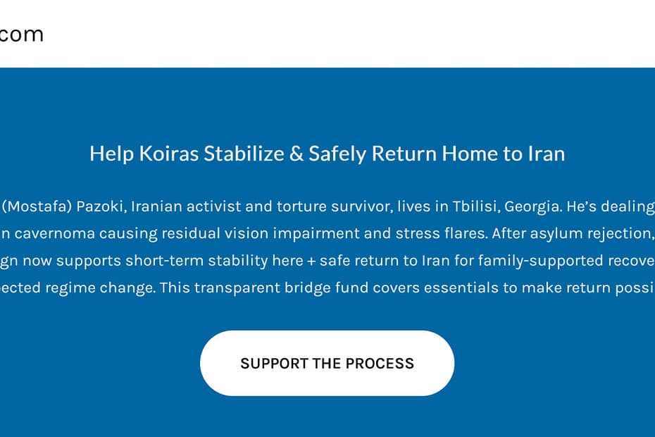 Website Launch & Campaign Opening